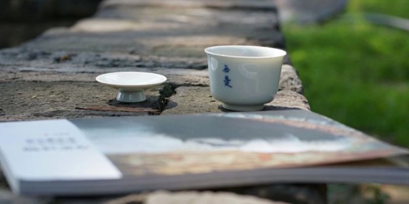 A small white porcelain gaiwan and its lid stand resting on a stone ledge, with green grass blurred behind